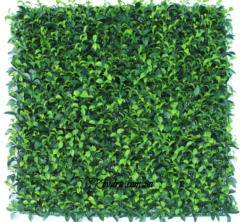 Декоративное зеленое покрытие "Самшит молодой" GCK-05