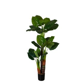 Искусственное растение Engard Taro, 170 см