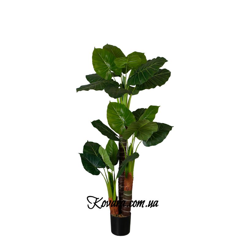 Штучна рослина Engard Taro, 170 см