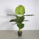 Штучна рослина Engard Taro, 120 см