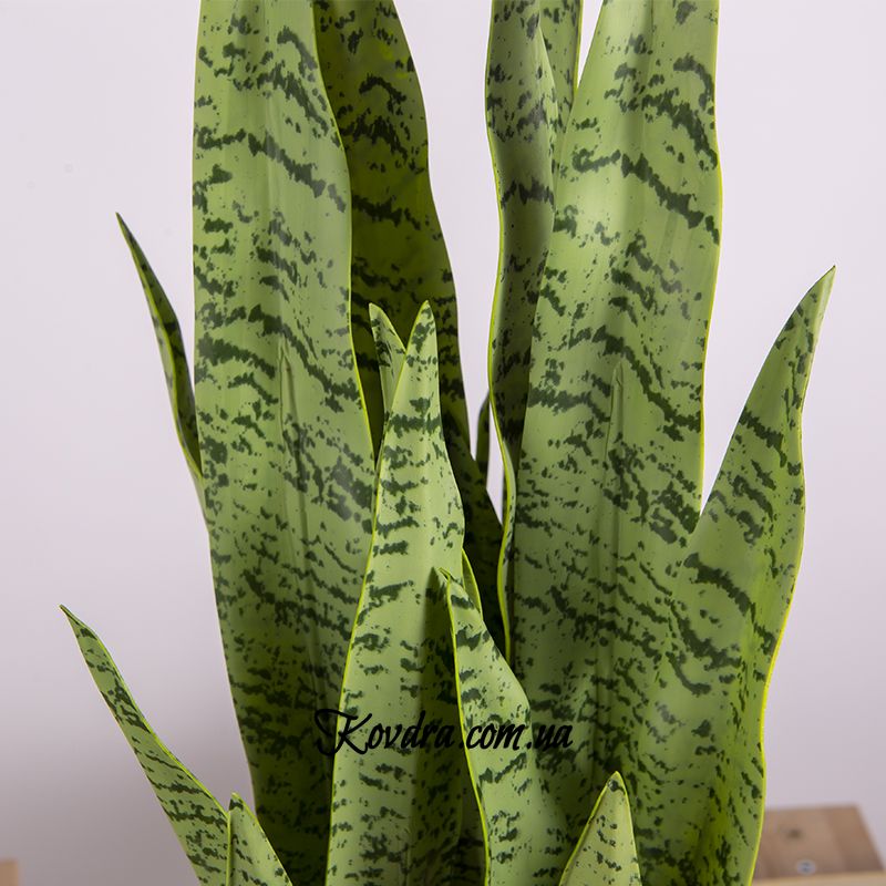 Штучна рослина Engard Sansevieria, 65 см