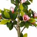 Штучна рослина Engard Magnolia Tree, 150 см