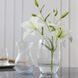 Ваза TRENDGLASS "LYRA", 20 см