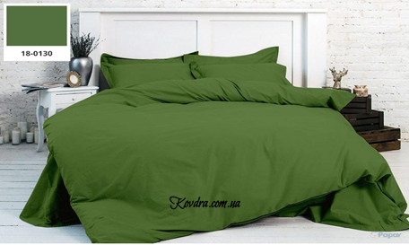 Комплект постельного белья "Весенняя зелень", евро двуспальный евро