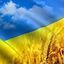 Ворона Любов