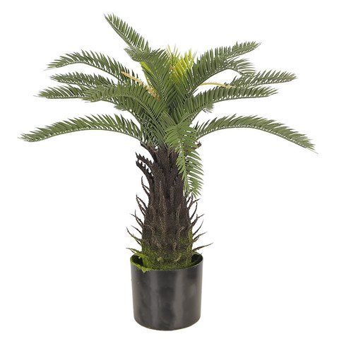 Искусственное растение Cycas Palm, 60 см (DW-25)