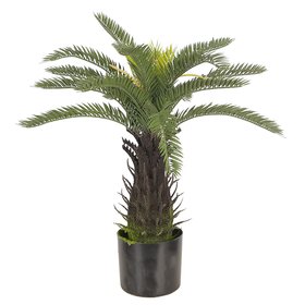 Искусственное растение Engard Cycas Palm, 60 см