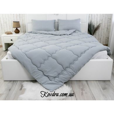 Ковдра ТМ РУНО силіконізованим волокном 321.52_Soft Line, 140х205 см