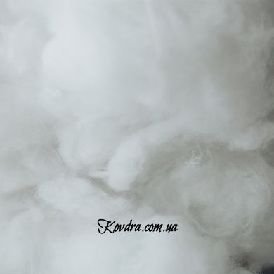 Ковдра антиалергенна 3M Thinsulate №1318 Valentino Hand Made літо, 110x140 см