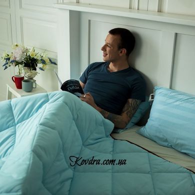 Ковдра антиалергенна EcoSilk Valentino 070 літо, 110х140 см