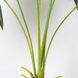Искусственное растение Engard Fan Palm, 95 см
