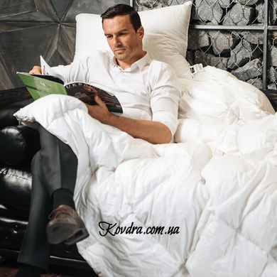 Ковдра антиалергенна Luxury Exclusive Eco-Soft Демі 887/110140 110х140 см