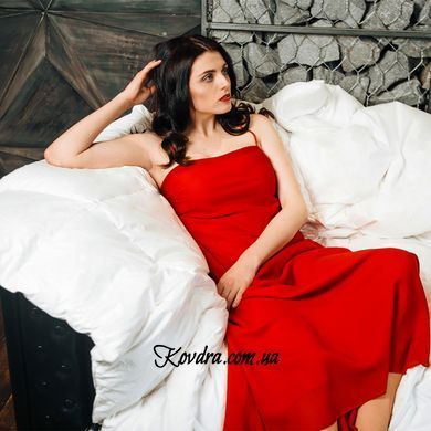Ковдра антиалергенна Luxury Exclusive Eco-Soft Демі 887/110140 110х140 см