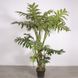 Искусственное растение Lacy Tree, 150 см (DW-29)