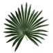 Штучна рослина Engard Fan Palm, 120 см