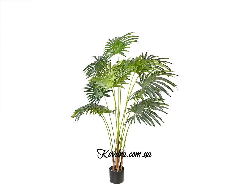 Искусственное растение Engard Fan Palm, 150 см