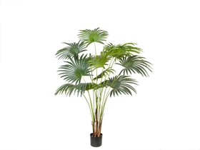 Искусственное растение Engard Fan Palm, 150 см