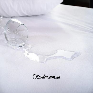Наматрасник №218 Terry Waterproof (махровый водонепроницаемый на резинке по периметру), 60х120см