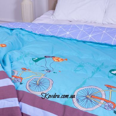 Ковдра антиалергенна Демі №2832 Сolor Fun Line Alta 220х240 см