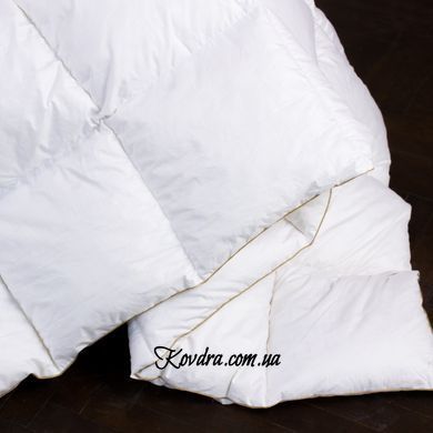 Ковдра пухова Raffaello 063 зима + 110х140 см