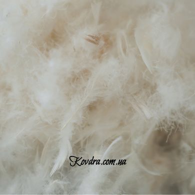 Ковдра пухова Raffaello 063 зима + 110х140 см