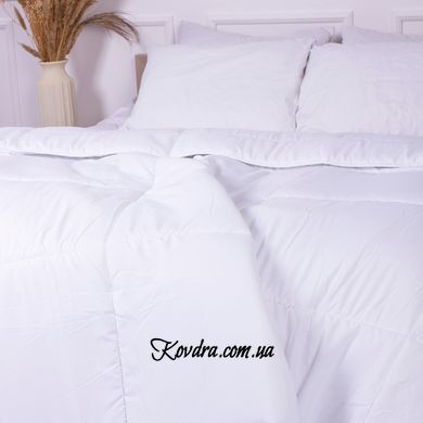 Зимова ковдра вовняна Супер Тепла №1639 Eco Light White mn2200002653091