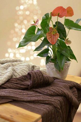 Дитячий плед SOFT "Коси" мокко, 90х130см