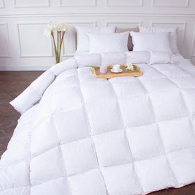 Одеяло пуховое DeLuxе 028 легкое, 110x140 см