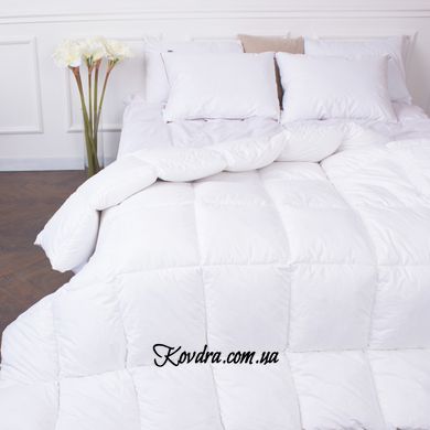 Одеяло пуховое DeLuxе 028 легкое, 110x140 см