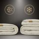 Ковдра MirSon №1557 Ferrero Vanilla Вовна Літо, 110х140 см mn2200011172859