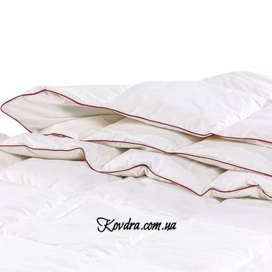 Одеяло пуховое DeLuxе 029 деми, 110x140 см