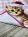 Кухонная салфетка из микрофибры "Санчата", котик 25х50 см
