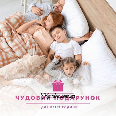 Набір спальний ковдра 200х220 см та 2 шт подушка 50х70 см Elegantly IDEIA аналог лебединого пуху, штучний пух id8-35565