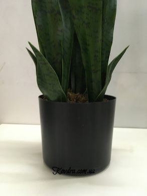 Искусственное растение Sansevieria, 65 см (DW-10)