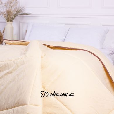 Ковдра антиалергенна Carmela Eco-Soft 836 демі, 110x140 см