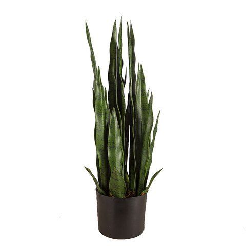 Искусственное растение Sansevieria, 65 см (DW-10)