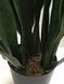 Искусственное растение Sansevieria, 65 см (DW-10)