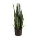 Искусственное растение Sansevieria, 65 см (DW-10)