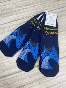 Махрові чоловічі шкарпетки "З новим роком" синій дракон, 41-46р.