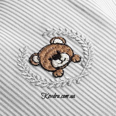 Наволочка на подушку ортопедичну дитячу BabyComfort PAPAELLA 23х30 см бавовна з вишивкою сіра id8-36072*001