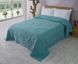 Махрове простирадлобавовна 200х220 (TM Zeron) 460г/м2 BAWER DESEN Yesil, Туреччина