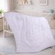 Ковдра антиалергенна MIRSON №0555 Sleepy Friends "Люмі" Eco-Soft (мікросатин) демі, 110х140 см