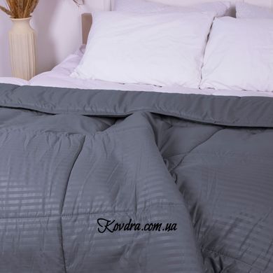 Зимова ковдра антиалергенна EcoSilk Супер Тепла №1631 Eco Light Blue