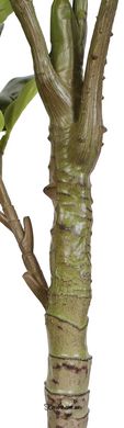 Искусственное растение Engard Fiddle, 110 см