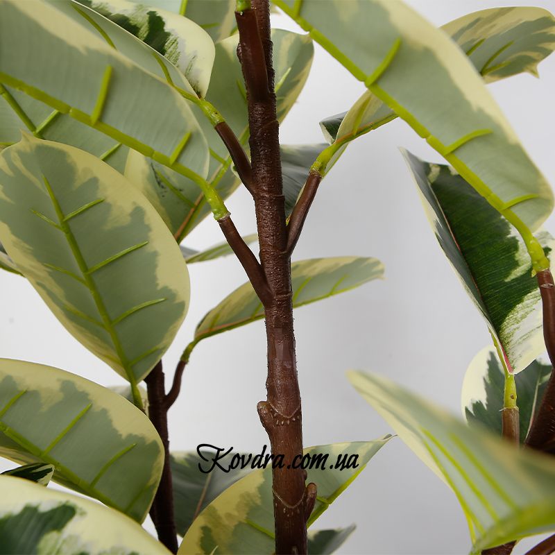 Штучна рослина Engard Фікус, 160 см