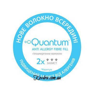 Подушка Basic Silver, 70x70 см SO102348