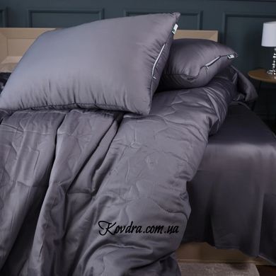Літній постільний комплект №2984 Line Satin Premium 0240 Iron grey "Eco-Soft" (2 ковдри + 2 наволочки), 140х205 см