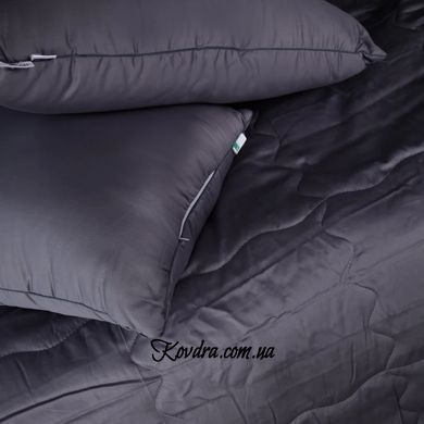 Літній постільний комплект №2984 Line Satin Premium 0240 Iron grey "Eco-Soft" (2 ковдри + 2 наволочки), 140х205 см