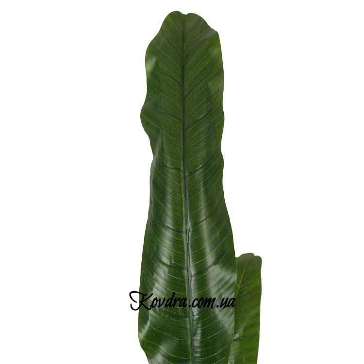 Штучна рослина Engard Banana Tree 140 см