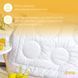 Зимова ковдра "Air Dream Exclusive", 155х210 см